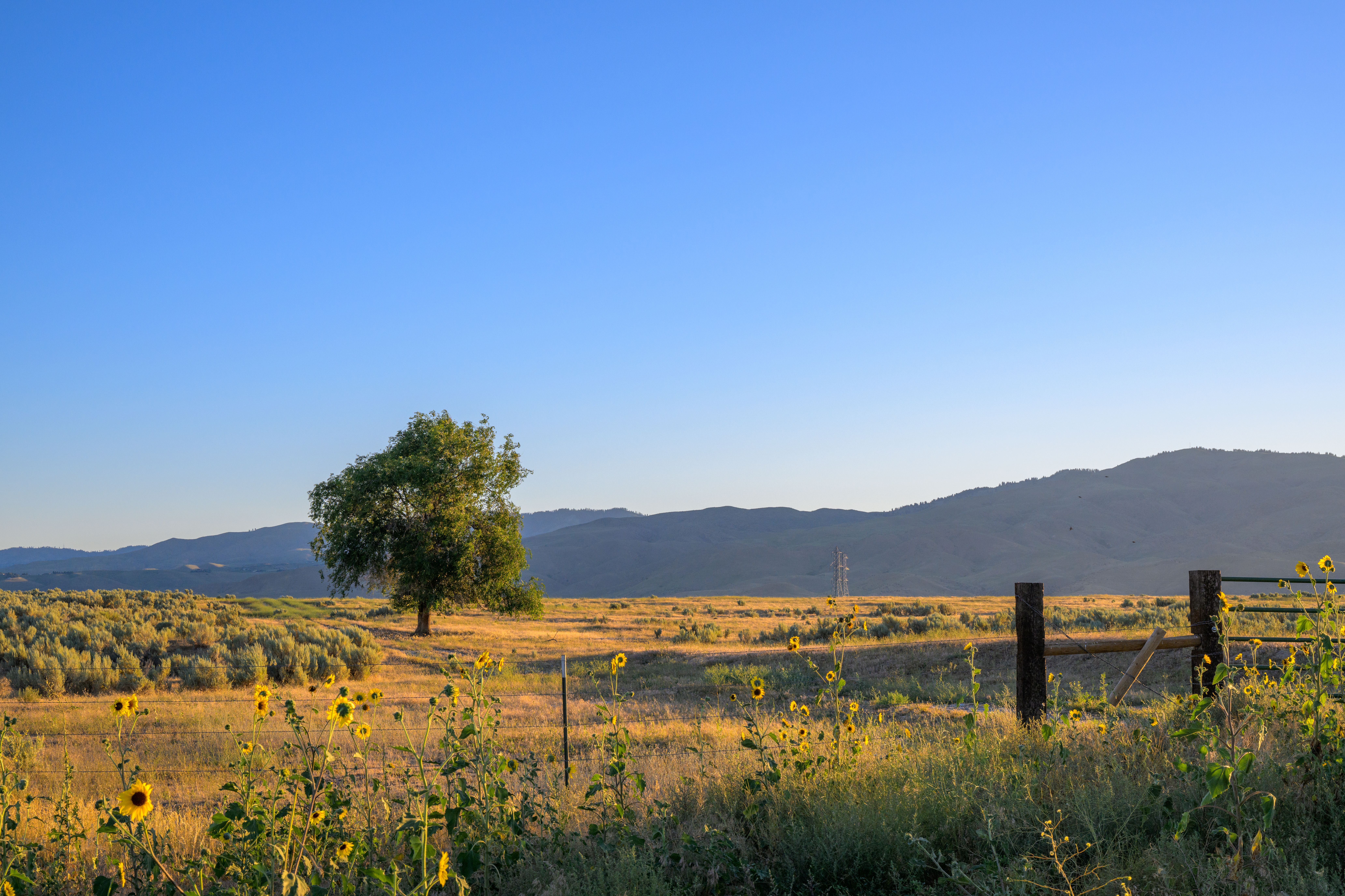Rural farmland Idaho